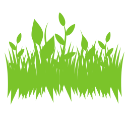 Green grass and foliage