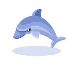 Dolphin in the sea