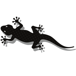Gecko lizard clip art