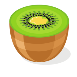Kiwi half slice
