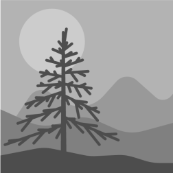 Tree silhouette grey color
