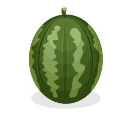 Watermelon summer fruit
