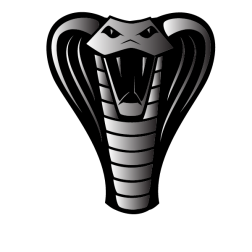 Cobra venomous snake
