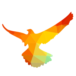 Bird in flight silhouette