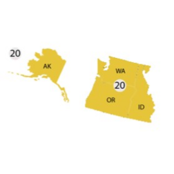 20