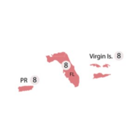 8