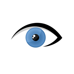 Blue eye and eyebrow