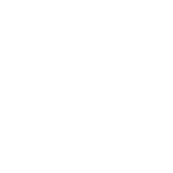 white circle