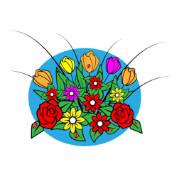 Coloful spring flowers