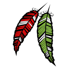 Feathers in colors