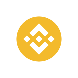 BNB Binance Smart Chain