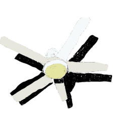 fan