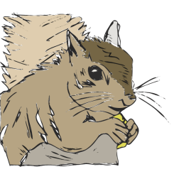squirrel-1660998678