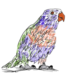 parrot