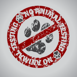 No animal testing sign
