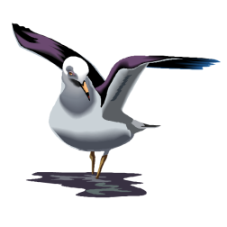 Seagull