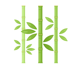 Bamboo plant tree