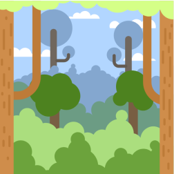 Forest woods