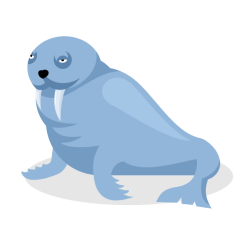 Sea lion