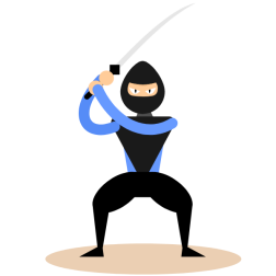 Ninja fighter with a sword