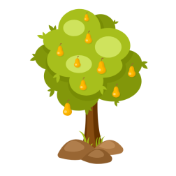 Pear tree