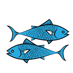 Blue fish-1666204769