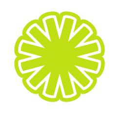 Green snowflake logo concept