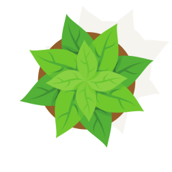 Green plant top view