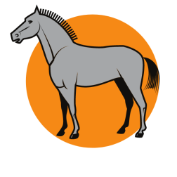 Stallion