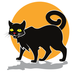 Black cat-1669106932