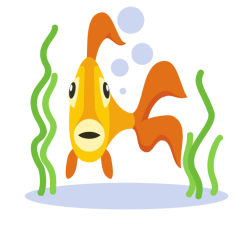 Golden fish in an aquarium
