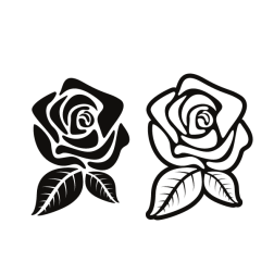 Rose flower silhouette-1669707482