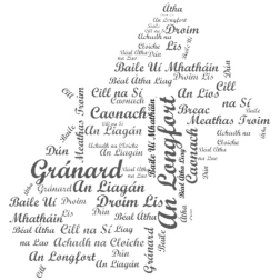 Map of Longford county