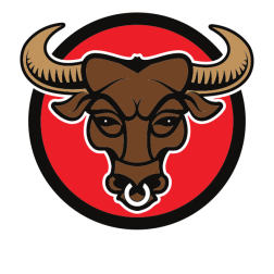 Bull head logo concept
