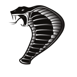 Cobra snake bite