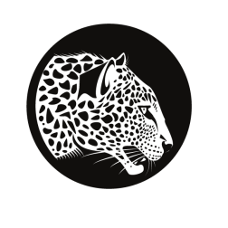 Leopard head-1673361240