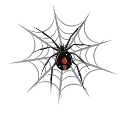 Spider web-1673421031