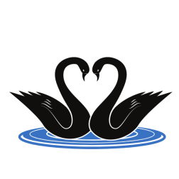 Swans silhouette