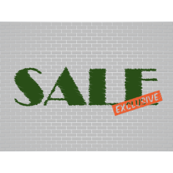 Sale exclusive banner