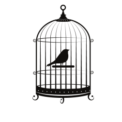 Bird in a cage-1675847313