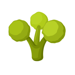 Broccoli plant