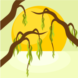 Hazel branches