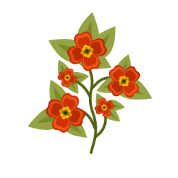 Pansy flower