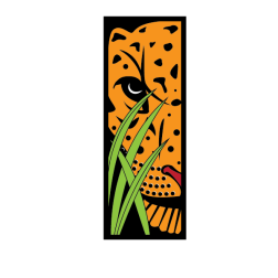 Tiger in the bush