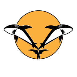 Two sharks logo
