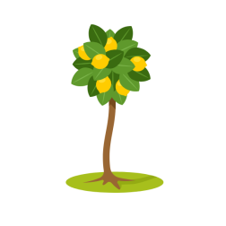 Lemon tree-1680700135