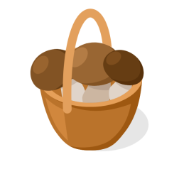 Mushrooms in the basket