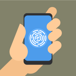 Smartphone in the hand