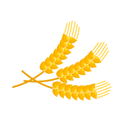 Wheat-1681821081
