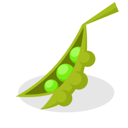 Green beans